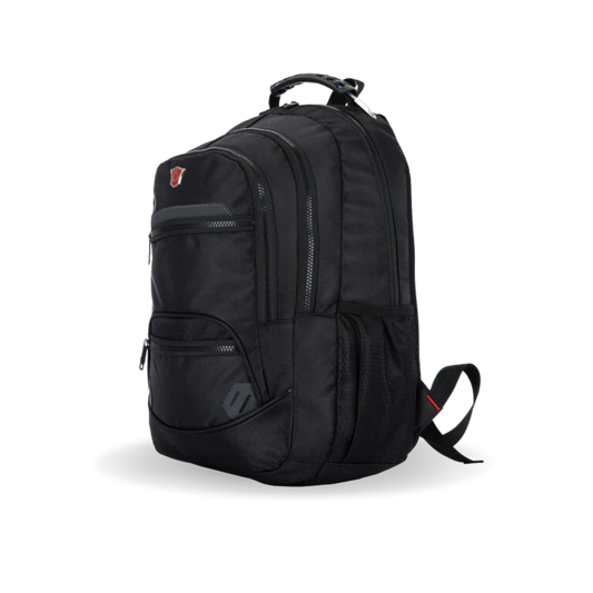 ECHO Executive 15.6'' Laptop Backpack