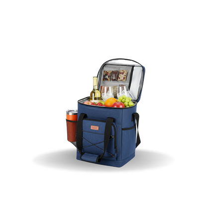 DASH Insulated Soft Cooler Tote Bag